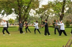 Tai Chi Taiji in the Park Outdoors Qigong Gentle Exercise Qi Chi Kung
